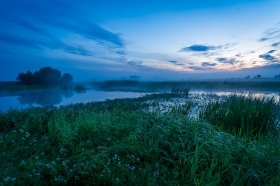 Kulig�w