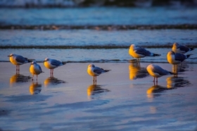 W przeb�yskach s�o�ca...