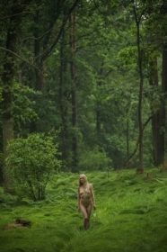 green forest