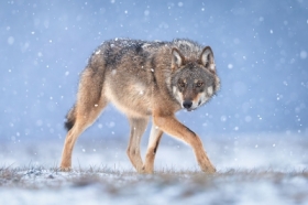 zdj�cie miesi�ca