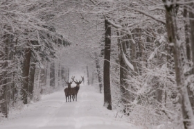 zdj�cie miesi�ca