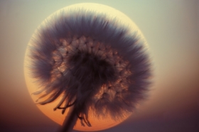 Symetria wpromieniach