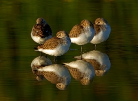 Wszystkiego podw�jnego!