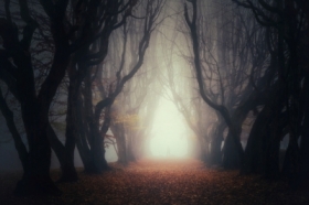 W�r�d Ent�w ...