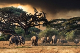 KENYA