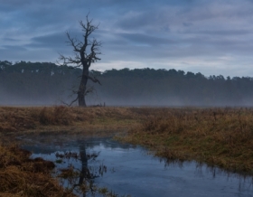 Lustrzane Oblicze Enta