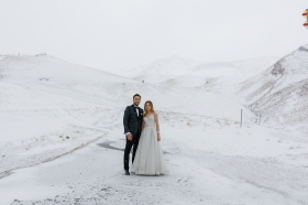 Snie�na biel alpejska