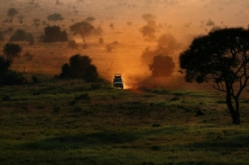 Kenya Safari
