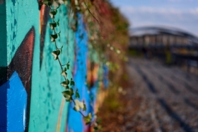 Wroc�awskie spacery