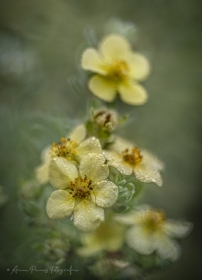 ostatkiem si�, jesiennie