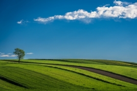 tapeta Windows XP z&nbsp;Ponidzia