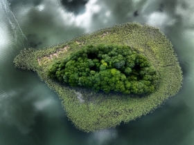 Wyspa mioci