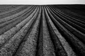Agriscape