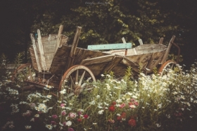 Czas w&nbsp;kwiatach