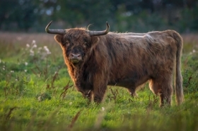 Milusiski 🙂