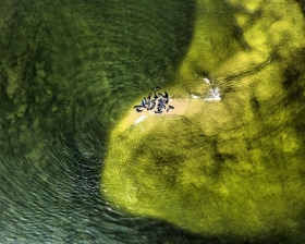 Detal krajobrazu pomorskiego- foki.