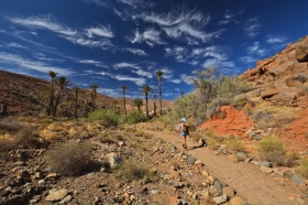 W odcieniach piasku i�rdzy - Fuerteventura