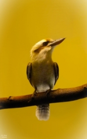 Lepszy profil