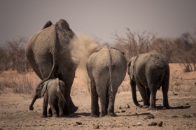Namibia