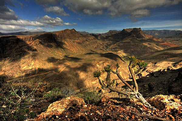 Barranco de Fataga