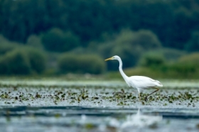 W saatkowym barze (: