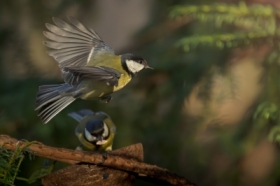 Ja lec�, Ty pilnuj