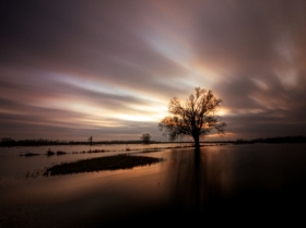 M�ogoszyn nieopodal Kutna