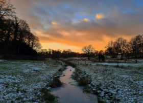 Zimowy mro�ny poranek