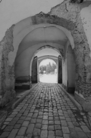 Bez tytu�u