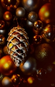 W �wi�tecznym klimacie