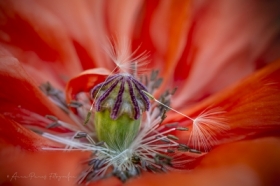 ma�y, bogaty �wiat