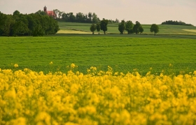 Imbramowice