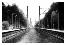 Szlak