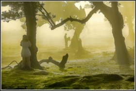 W poszukiwaniu magii �wiat�a