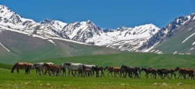 W grach Kirgistanu