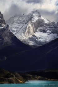 Patagonia