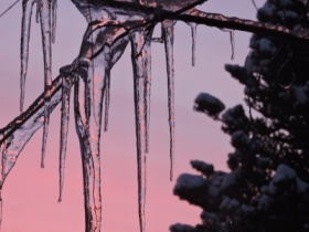 przed wschodem s�o�ca