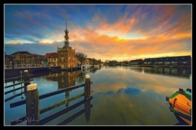 zdj�cie miesi�ca