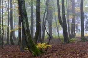 Na szlakach G�r Orlickich