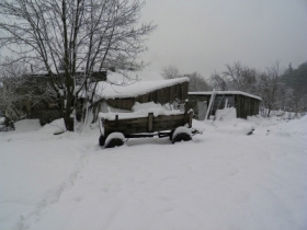 Weso�ych �wi�t