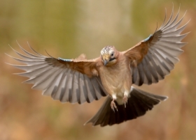 zdj�cie miesi�ca