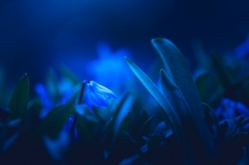 Blue