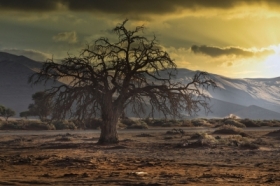 Namibia