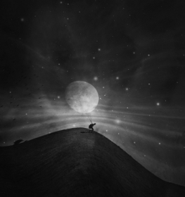 The Man Who Stole the Moon