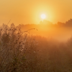 zdj�cie miesi�ca