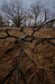 Eksploracja bez warunk�w.