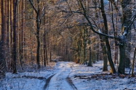 Bia�e Bo�e Narodzenie