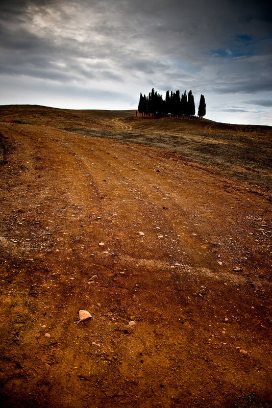 La Bella Toscana