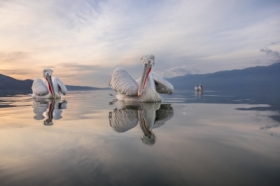 Na wysoko�ci spojrzenia.