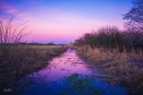 Kiedy s�o�ce m�wi dobranoc